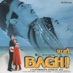 Theme Music (Baghi)