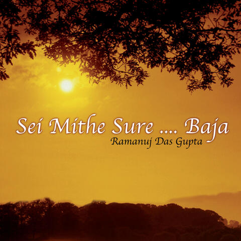 Sei Mithe Sure...Baja (Songs Of Kazi Nazrul Islam)