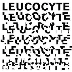 Leucocyte - Ab Initio