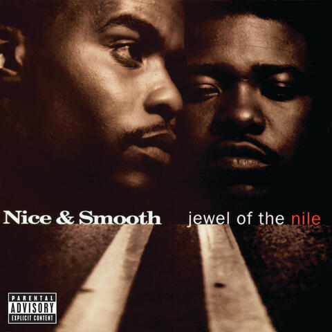 NICE & SMOOTH - NICE & SMOOTH (VINYL LP) 1989!!! RARE!!! DEBUT ALBUM / GREG