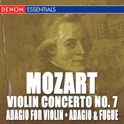 Violin Concerto No. 7 In D Major, KV 271a: II. Andante