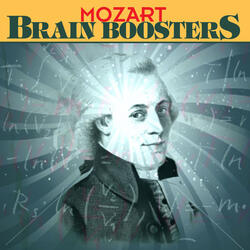 Symphony No. 40 in G minor: l. Molto Allegro