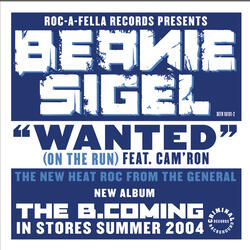 Wanted (On The Run)