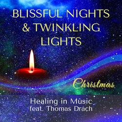 Blissful Nights & Twinkling Lights