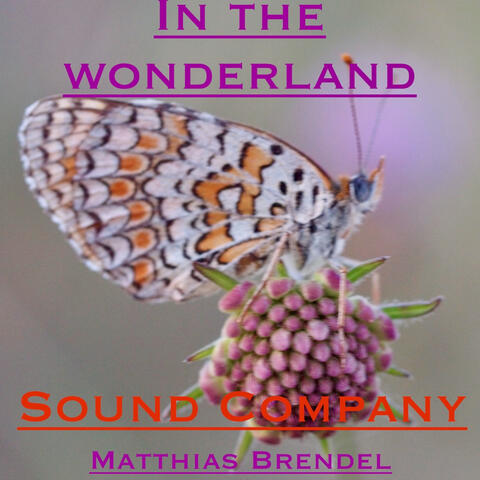 In the Wonderland
