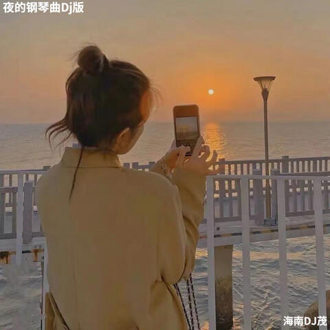 夜的钢琴曲