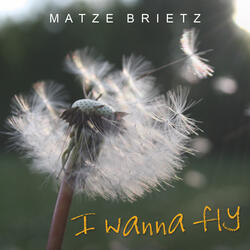 I wanna fly