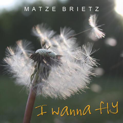 I wanna fly