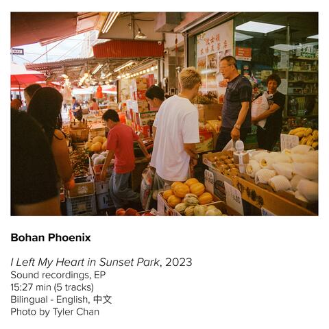 I Left My Heart in Sunset Park