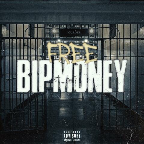Bipmoney Luv