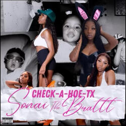 CHECK-A-HOE-TX