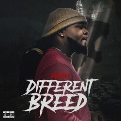 Different Breed