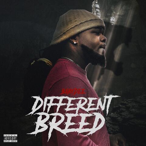 Different Breed