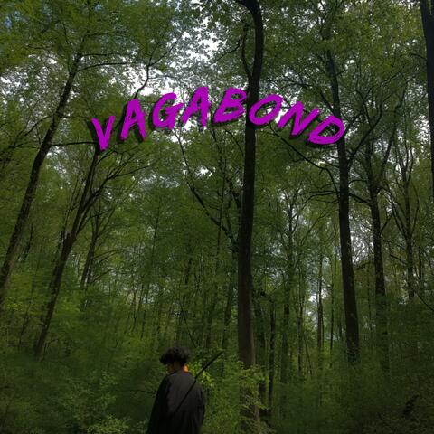 Vagabond