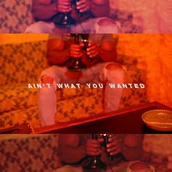 Ain't What You Wanted