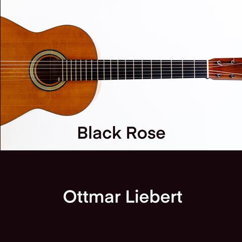 Black Rose (Bare Version)