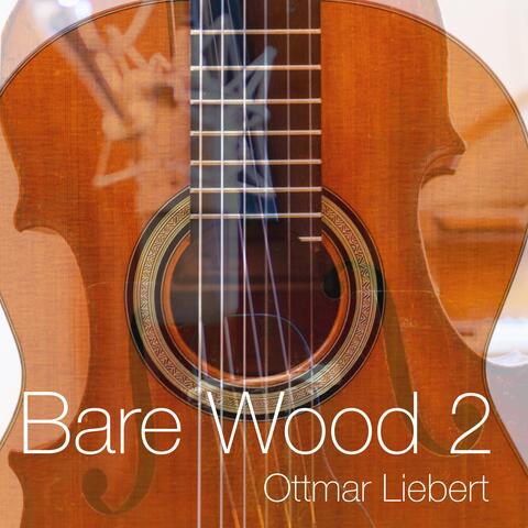 Bare Wood 2