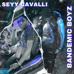 BANDEMIC BOYZ