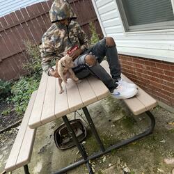 Detroit Flow
