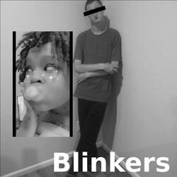 Blinkers