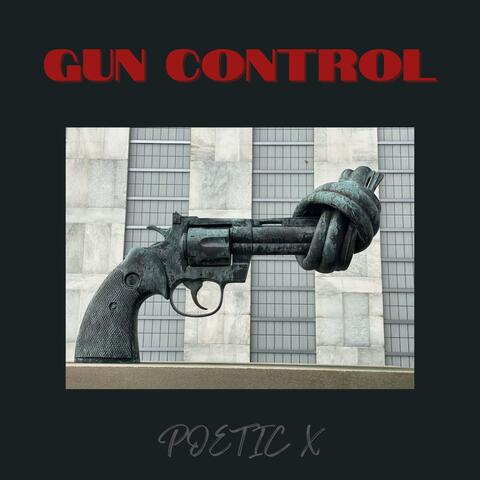 GUN CONTROL