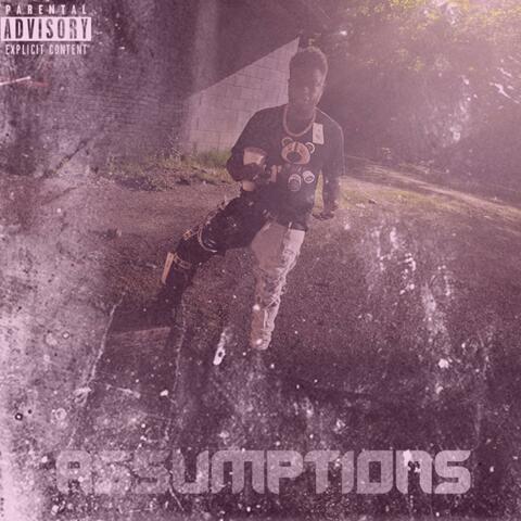 Assumptions