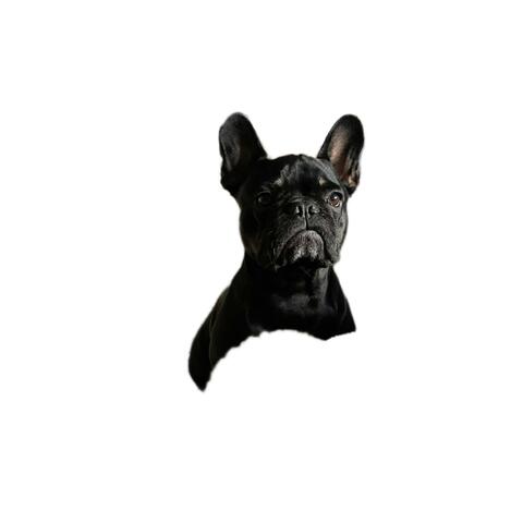 UaFooL4ThisOnE