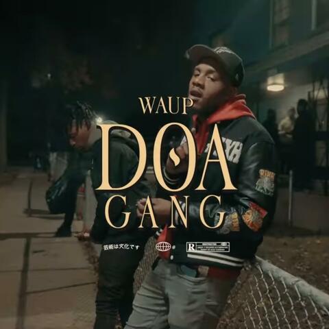 DOA Gang