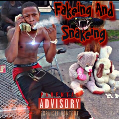 Fakeing And Snakeing