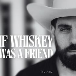 If Whiskey Was A Friend
