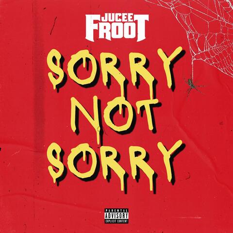 Sorry Not Sorry
