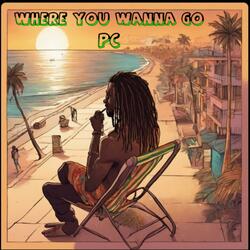 Where You Wanna Go