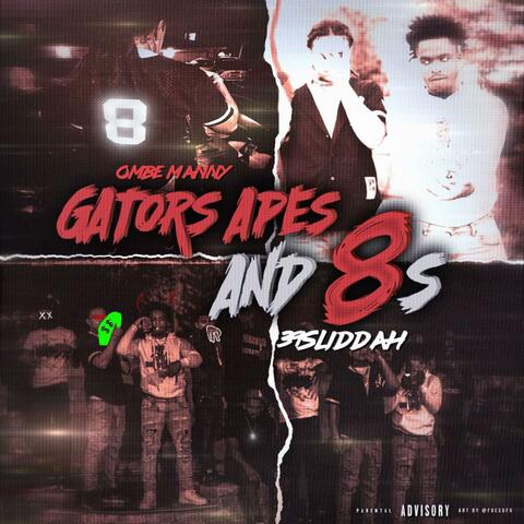 Gators Apes And 8s