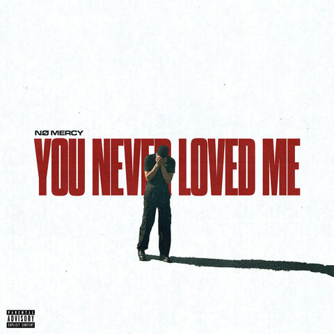 YOU NEVER LOVED ME