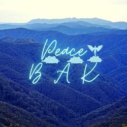Peace(ily)