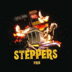 STEPPERS