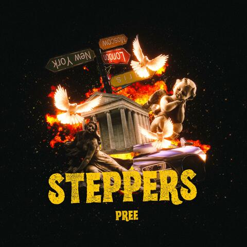 STEPPERS