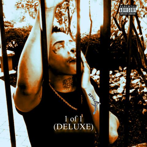 1 Of 1 (DELUXE)