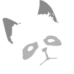 Raccoon Heart (Sped Up)