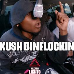 HAZARD LIGHTS FREESTYLE