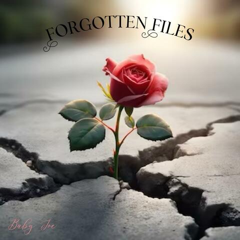 Forgotten Files