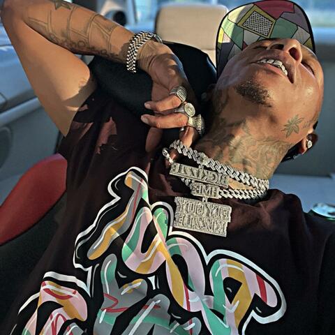Fly Guy Kizzle