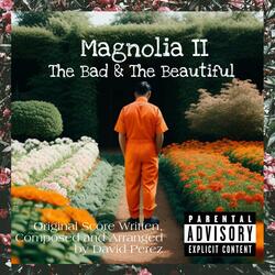 8/24 (Chava’s Interlude)