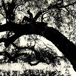 Little Big Oak