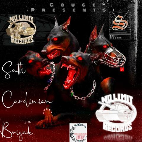 South Carolinian Brigade