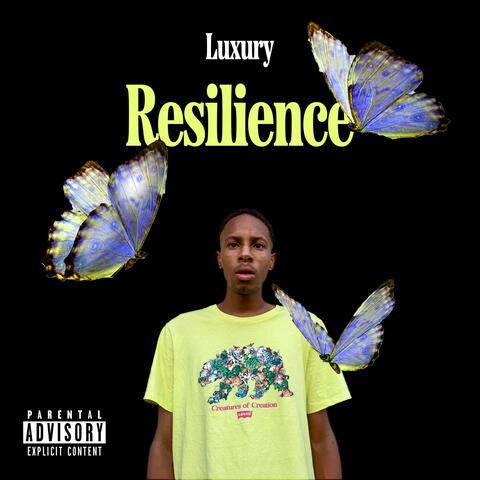 Resilience