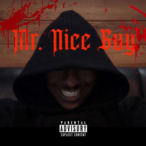 Mr. Nice Guy