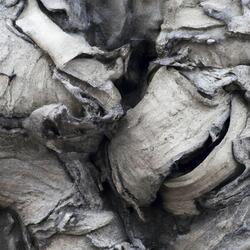 The Hollow Shards