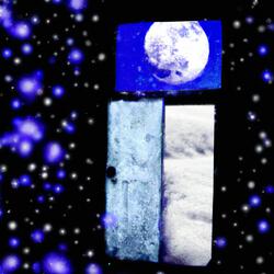 Moonlit Serenade