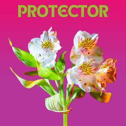 Protector